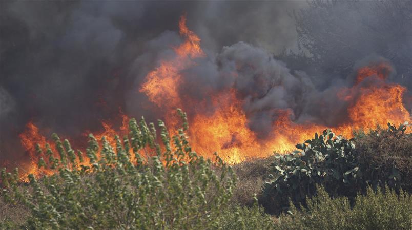 Le fiamme devastano ampie zone di macchia mediterranea nei pressi di Palermo