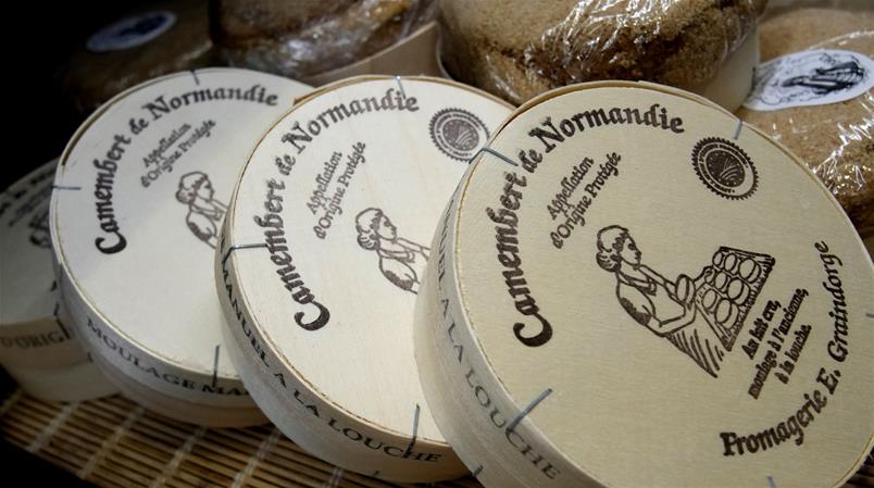 Künftig könnte der Camembert mit anderen Pilzstämmen fermentiert werden müssen.