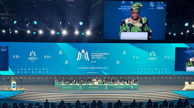 La conferenza dell'OMC ad Abu Dhabi