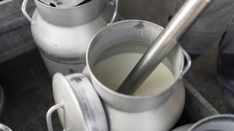 Le Conseil des Etats a fait lundi un geste envers les producteurs de lait.