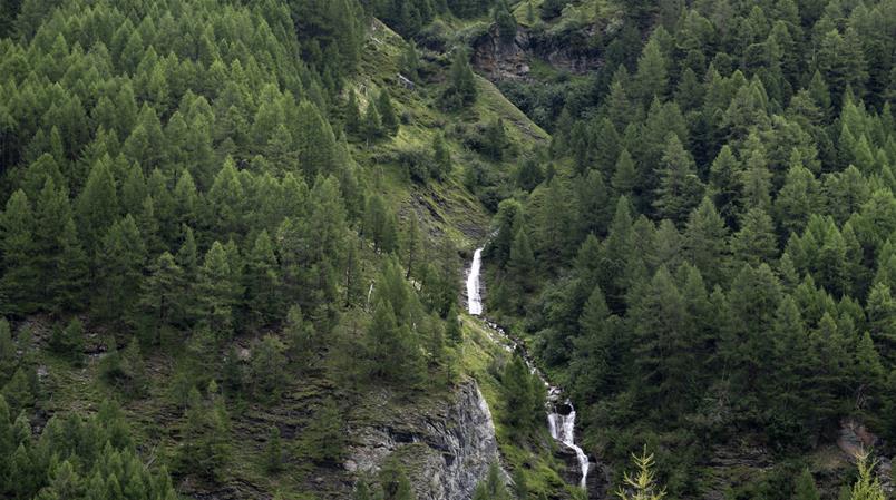 Kleine Bäche und Flüsse sind nicht unwichtig für das Schweizer Gewässernetz.