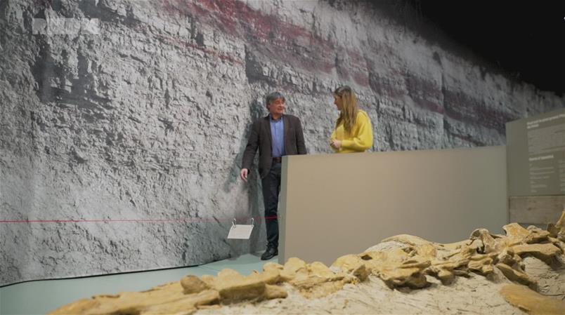 Le Prix Expo 2024 a été décerné jeudi au Muséum d'histoire naturelle de Neuchâtel.