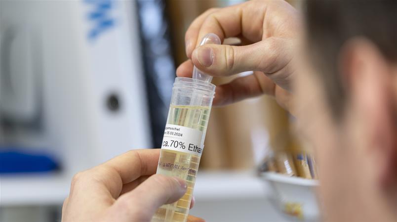 Der Schweizerische Nationalfonds unterstütze Forschungsprojekte mit 960 Millionen Franken.