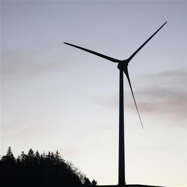 Le Tribunal fédéral suspend le plan du parc éolien de Bourg-St-Pierre, situé en Valais.