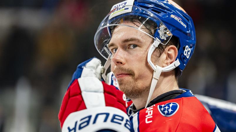 Lammikko