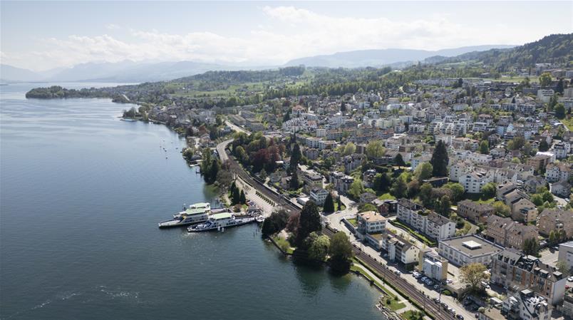 Der Unfall passierte bei Horgen am Zürichsee.
