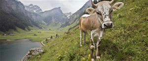 Gegen zu viel Tourismus im Appenzell